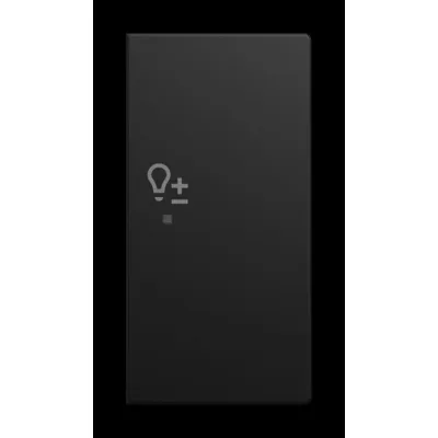 BUSCH-JAEGER Tastwippe 6234-22-915 | 2-fach rechts | Symbol Dimmer | Busch-balance SI | Kunststoff matt | schwarz