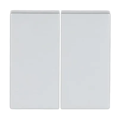 BUSCH-JAEGER Wippe Schalter 6736 FoH-83 | 2-fach Friends of Hue | Zigbee | Aufputz | Kunststoff alusilber matt