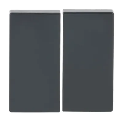 Busch-Jaeger Wippe 2-fach 6736 FoH-81 | Friends of Hue kompatibel | Zigbee | Aufputz | Thermoplast | anthrazit