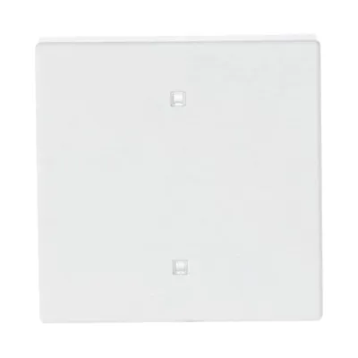 BUSCH-JAEGER Wippe Elektroniktaster 2570-10-84 | 1-fach Schalter Abdeckung | Kunststoff | glänzend | IP20 | weiß