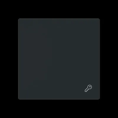 Busch-J. Wippe geschlossen m. Symb. Schlüssel 2520 TR-45M