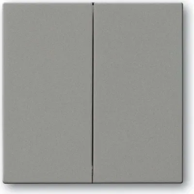 Busch-J. Wippe gr/met f.Fernsteuerung 6736 FoH-803