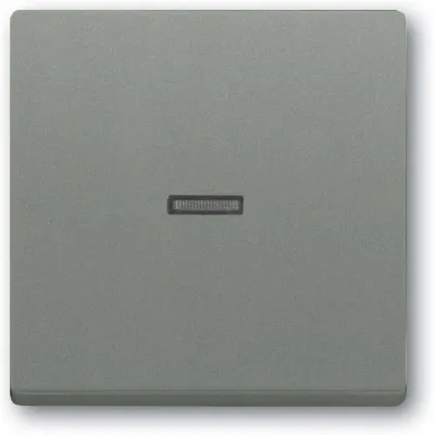 Busch-Jaeger Kontrollwippe 1789 N-803 | Abdeckung für Schalter & Taster | Thermoplast | IP20 | grau