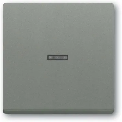 Busch-Jaeger Kontrollwippe 1789 N-803 | Abdeckung für Schalter & Taster | Thermoplast | IP20 | grau