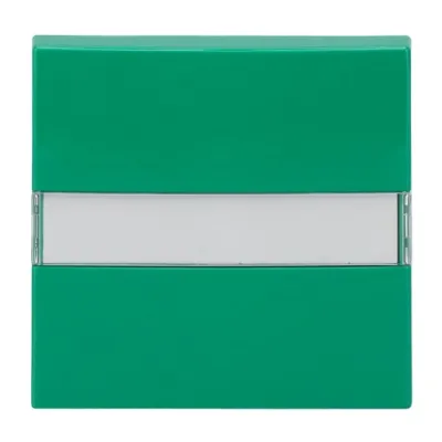 Busch-Jaeger Wippe 2510 NLI-13-914 | Schalterabdeckung | Beschriftungsfeld | Lichtleiter | grün RAL 6032