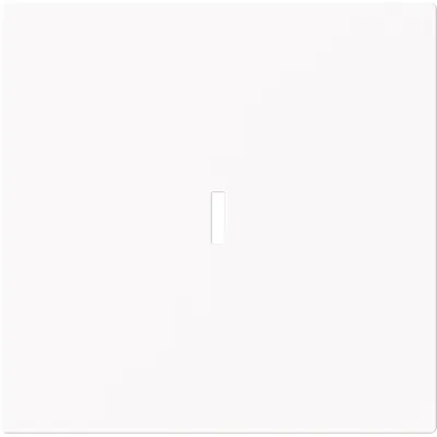 BUSCH-JAEGER Wippe 1789 N-44M | Schalterabdeckung | UP-Schalter, Wechselschalter, Taster | Kunststoff matt | weiß