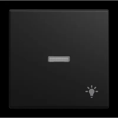 BUSCH-JAEGER Kontrollwippe 1789 LI-915 | Wippe UP-Taster mit Licht-Symbol | matt schwarz | 55x55 mm