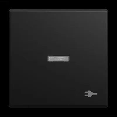 BUSCH-JAEGER Schalterwippe 1789 ST-915 | Kontrollwippe Busch-balance SI | matt | Kunststoff | schwarz RAL 9004