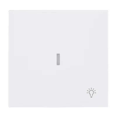 Busch-J. Wippe mit Symbol Licht m. transpar. Kal 1789 LI-44G