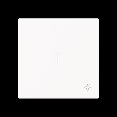 Busch-J. Wippe mit Symbol Licht m. transpar. Kal 1789 LI-44M