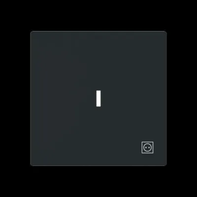 Busch-J. Wippe mit Symbol Stecker m. transpar. K 1789 ST-45M