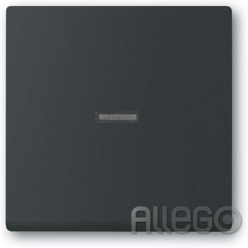 Bild: Busch-J. Wippe schwarz matt 1789 N-885