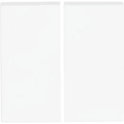 Busch-Jaeger Wippe 2-fach 6736 FoH-884 | Friends of Hue Smart Switch | Zigbee | Aufputz | Studioweiß matt | Kunststoff