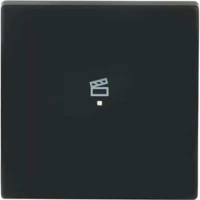 Busch-J. Wippe sw mt future linear 6233-10-885