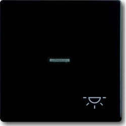 Busch-J. Wippe sw mt mit Symbol Licht 1789 LI-885