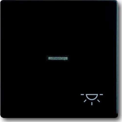 Bild: Busch-J. Wippe sw mt mit Symbol Licht 1789 LI-885