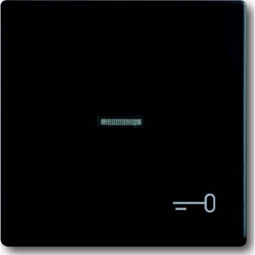 Bild: Busch-J. Wippe sw mt mit Symbol Schlüssel 1789 TR-885