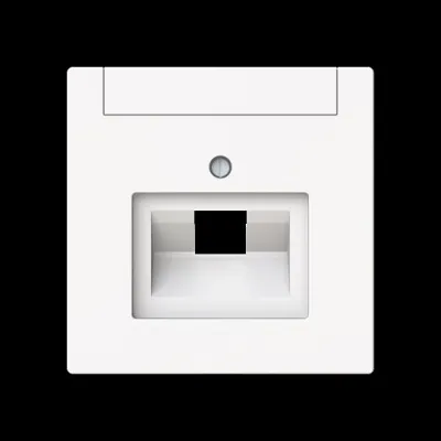 BUSCH-JAEGER Zentralscheibe 1-fach 1803-44M | UAE Abdeckung Datenanschluss | Beschriftungsfeld | Unterputz | weiß