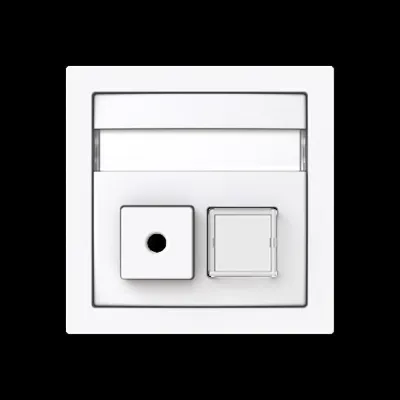 Busch-J. Zentralscheibe 2-fach Infoline 1572 CN-44G