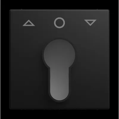 BUSCH-JAEGER Zentralscheibe 2557 PZ-915-101 | Jalousie Abdeckung | Pfeil Auf/Ab | Kunststoff matt | schwarz RAL 9004