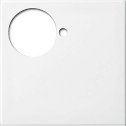 Busch-J. Zentralscheibe alpinws Licht-Ton-Rufsy 1790-591-914