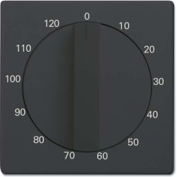 Busch-J. Zentralscheibe anthrazit Bedienelement 1771-81-103