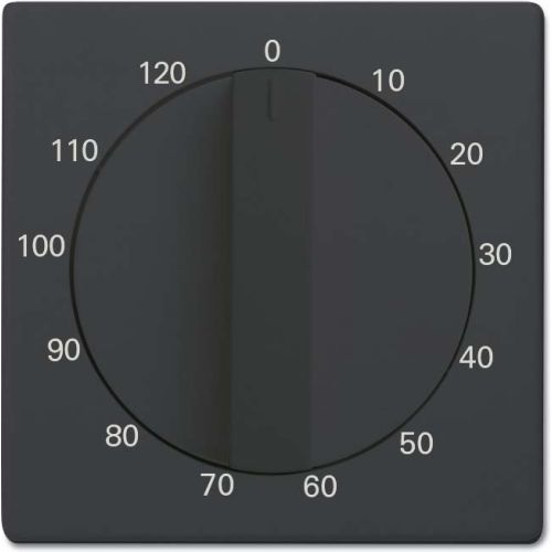 Bild: Busch-J. Zentralscheibe anthrazit Bedienelement 1771-81-103