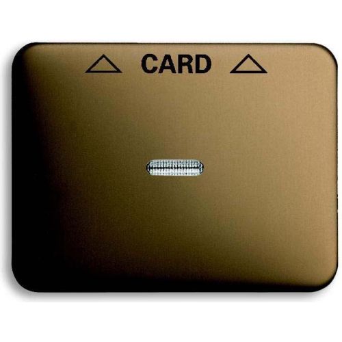 Bild: Busch-J. Zentralscheibe brz für Cardschalter 1792-21-101