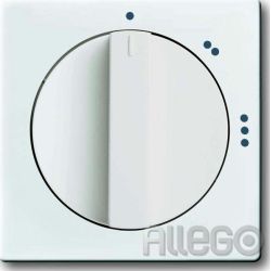 Busch-J. Zentralscheibe dav/sws f.3Stufen-Dreh 2542 DR/02-84