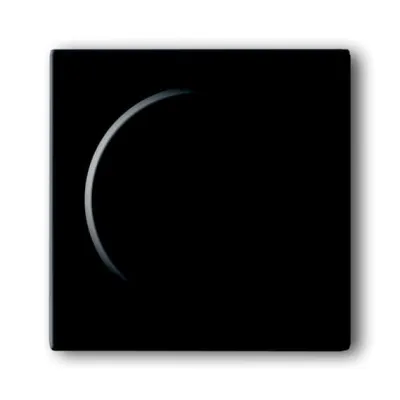 BUSCH-JAEGER Zentralscheibe für Dreh-Dimmer 6540-81-102-510 | future linear | Kunststoff | anthrazit | glänzend