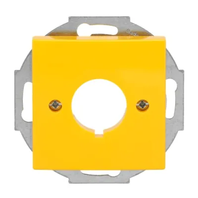 Busch-Jaeger Zentralscheibe mit Tragring 2533-914-15 | 22,5 mm Bohrung | Unterputz | Thermoplast | gelb RAL 1018