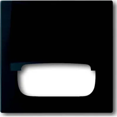 Busch-J. Zentralscheibe sw mt TAE,50x50mm,Klappd. 1746-775
