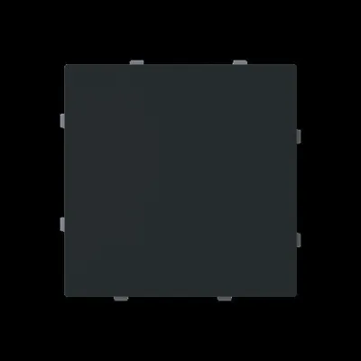 BUSCH-JAEGER Blindzentralscheibe 1742-45M | Blindabdeckung Unterputz | Kunststoff matt | schwarz RAL 9005