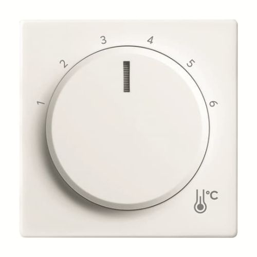 Bild: BUSCH-JAEGER 1794 R-84 Zentralscheibe Temperatur, rund