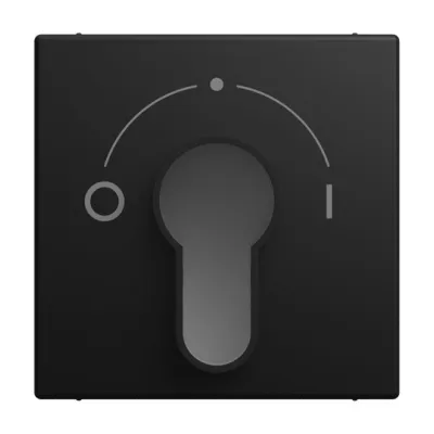 BUSCH-JAEGER Zentralscheibe 2557 SLPZ-915-101 | Jalousie Schlüsselabdeckung | Symbol 0/1 | Kunststoff matt | schwarz