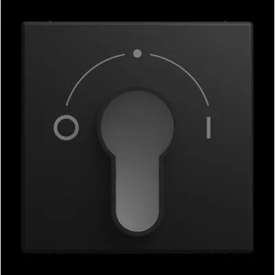 BUSCH-JAEGER Zentralscheibe 2557 SLPZ-915-101 | Jalousie Schlüsselabdeckung | Symbol 0/1 | Kunststoff matt | schwarz