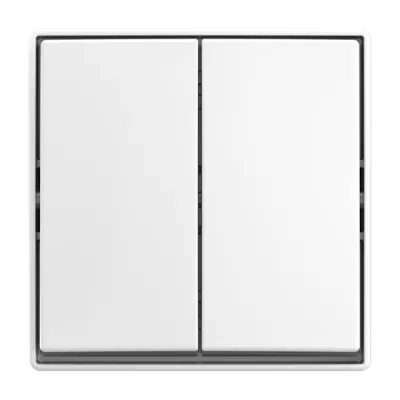 BUSCH-JAEGER Serienschalter 2601/5 J-524 | Wippschalter Aufputz IP20 | 2-fach | Kunststoff glänzend weiß RAL 9010