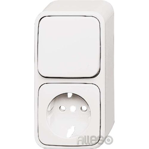 Bild: BUSCH-JAEGER 2601/6/2300EAPW500 Kombination Steckd/Schalt Wechs AP rws