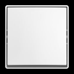BUSCH-JAEGER 2601/6 J-524 Wippschalter Aus-/Wechselschaltung AP