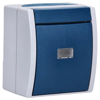 Busch-Jaeger Wipptaster 2621 WGL-53 | 1 Schließer | Aufputz | Beleuchtet | IP44 | Thermoplast | grau/blaugrün