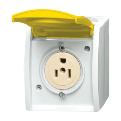 Busch-Jaeger Steckdose NEMA 3015 EWN-54 | Aufputz | IP44 | 15A 125V | mit Klappdeckel & Beschriftungsfeld | alpinweiß