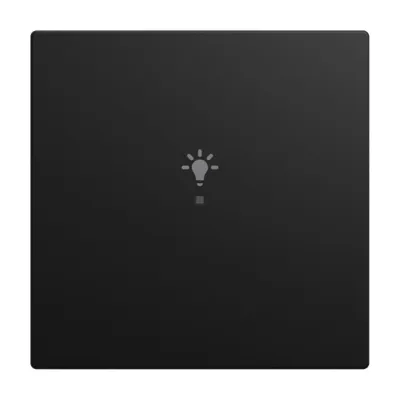 BUSCH-JAEGER Tastwippe 6231-10-915 KNX free@home | 1-fach | Licht-Symbol | Busch-balance SI | matt schwarz