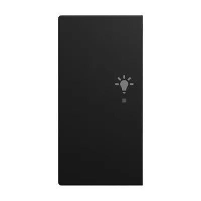 BUSCH-JAEGER Tastwippe 2-fach 6231-21-915 | KNX free@home | Licht-Symbol | Thermoplast | schwarz matt
