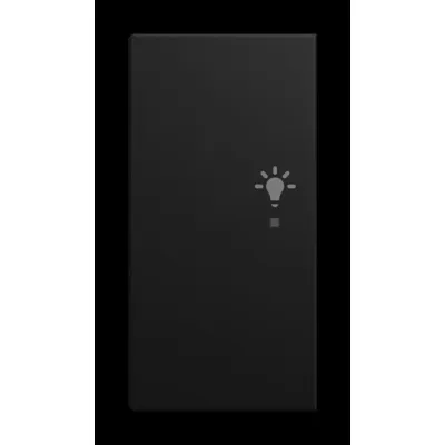 BUSCH-JAEGER Tastwippe 2-fach 6231-21-915 | KNX free@home | Licht-Symbol | Thermoplast | schwarz matt