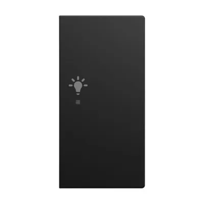BUSCH-JAEGER Tastwippe 2-fach rechts 6231-22-915 | KNX free@home | Symbol Licht | Busch-balance SI | schwarz matt