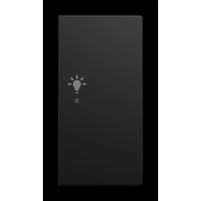 BUSCH-JAEGER Tastwippe 2-fach rechts 6231-22-915 | KNX free@home | Symbol Licht | Busch-balance SI | schwarz matt