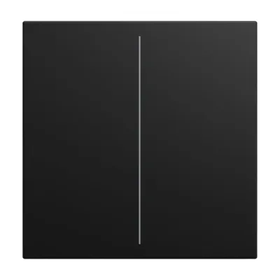 BUSCH-JAEGER Tastwippe 2-fach LFW/A.2.55.11-915 | Keypad-Abdeckung | KNX | free@home | Thermoplast | schwarz | RAL 9004