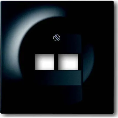 Busch-Jaeger Zentralscheibe 2-fach 1803-02-775 | UAE/IAE Abdeckung | Unterputz | Kunststoff | glänzend | schwarz matt