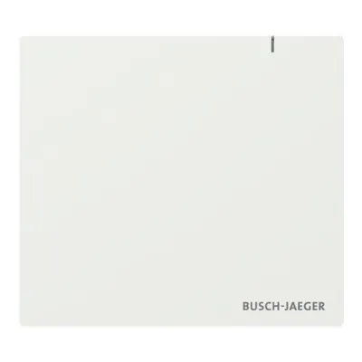 Busch-Jaeger System Access Point SAP.13 3.0 | free@home Zentrale | 150 Teilnehmer | Wireless & Wired | WLAN | USB-C