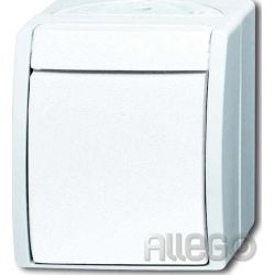 Busch-Jaeger Ausschalter 2601/2 W-54